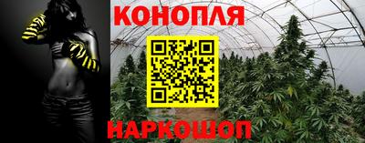 ГАЛЛЮЦИНОГЕННЫЕ ГРИБЫ Ипатово
