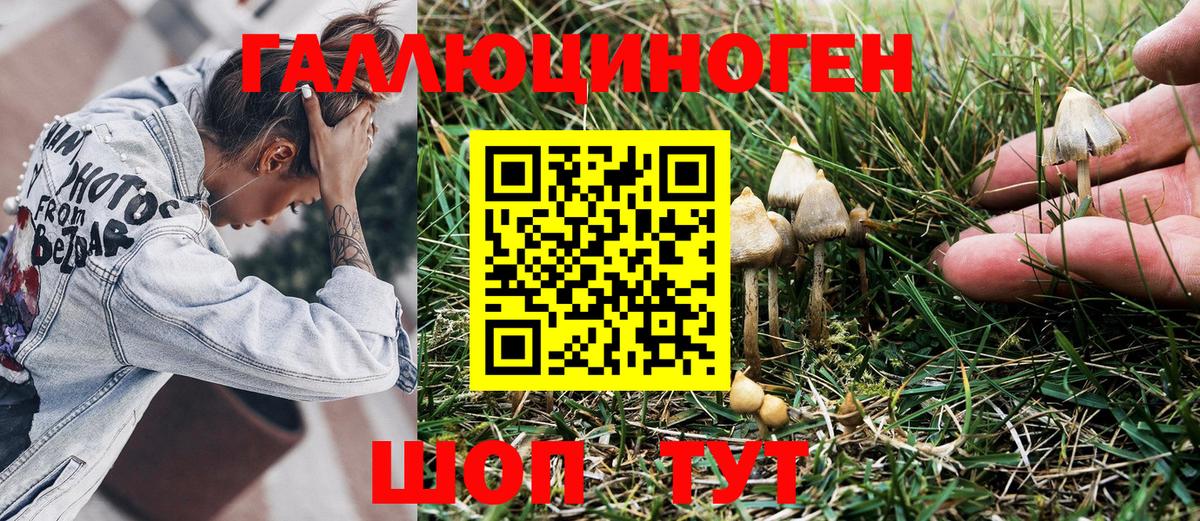 Галлюциногенные грибы MAGIC MUSHROOMS  Псилоцибиновые грибы мухоморы  Калуга  Вход с VPN 